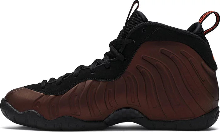 Nike Air Foamposite Pro Color Shift (GS)
