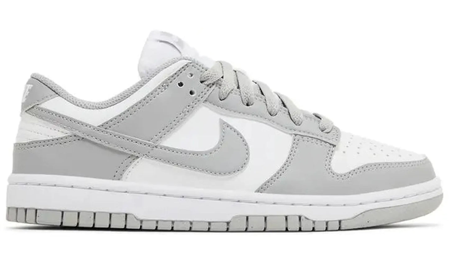 Nike Dunk Low Next Nature Light Smoke Grey (W)