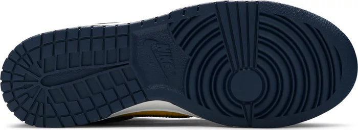 Dunk Low Michigan (2021)